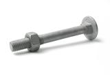 Carriage bolt mvbf 4.6