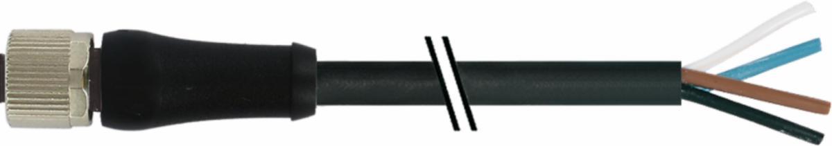 Kablage M12 Murrelektronik - KABL 4X1,5 M12 P HO0° L 5M 7000-P4121-P070500