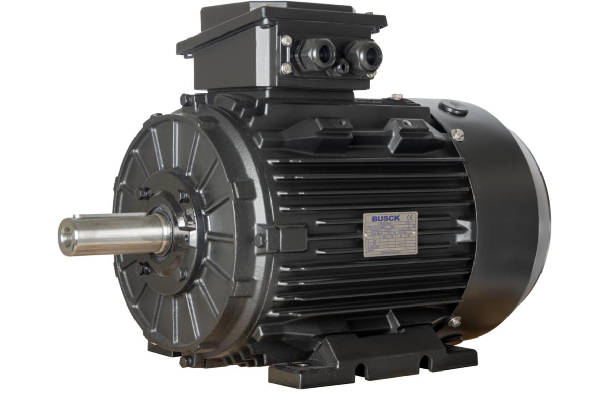 Elmotor Standard 4-pol T3A-T4C - MOTOR 4-POL 55 KW T4CR250M-4 55KW 400/690V B3