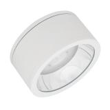 Downlight Surface IP65