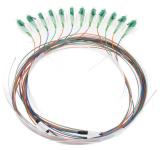 Fibre fanout Pigtail SM, Eurolan