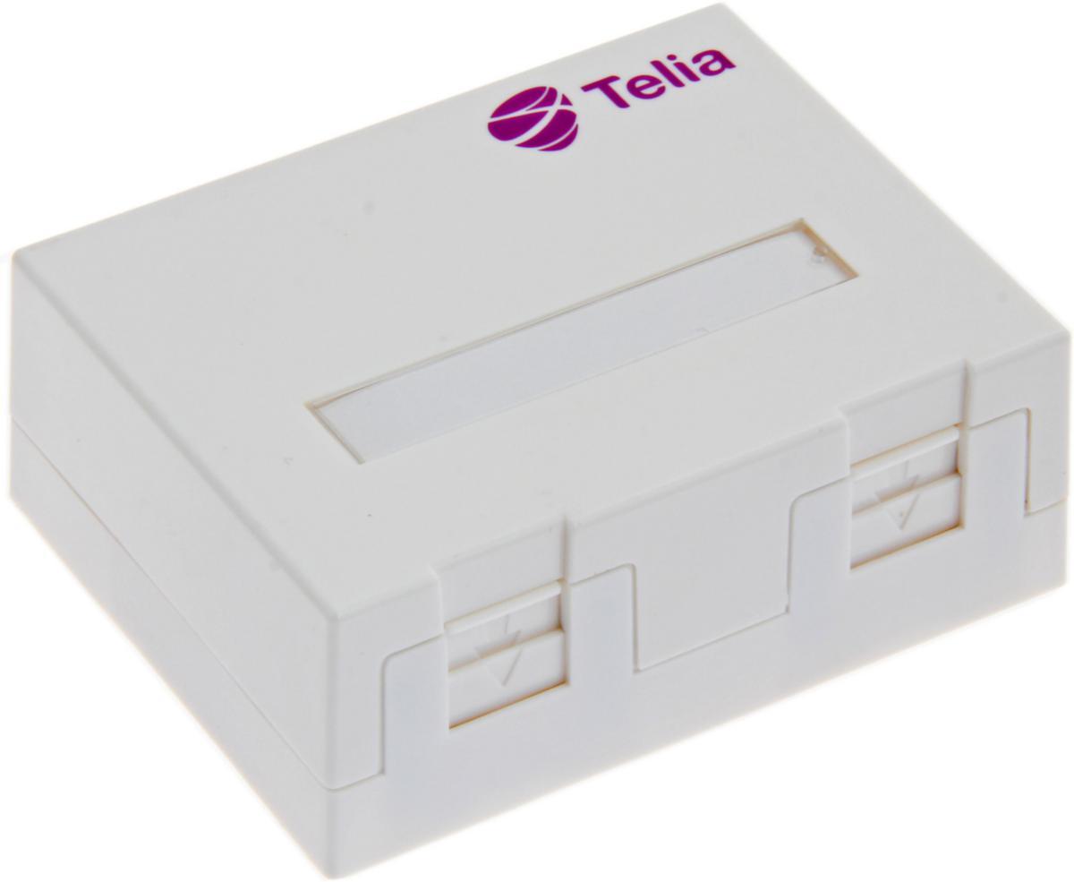 Väggbox för Keystoneuttag Telia, Eurolan - UTTAGSBOX 2XKEY TELIA 12B-04-02WT-2-TELIA