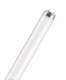 Full-colour fluorescent tube LUMILUX® PLUS Standard pack