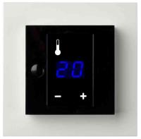 Display thermostat Plus