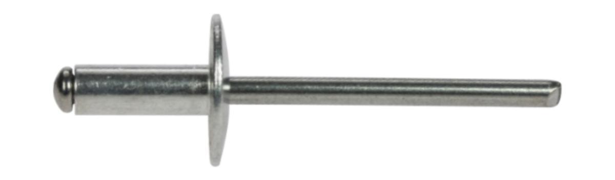 Blindnit AL/ST stor skalle - BLINDNIT AL/ST STOR SKALLE C2 4,0X20 250ST