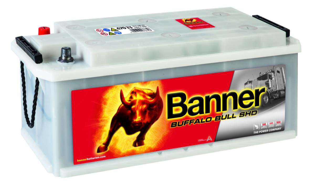 Startbatteri Banner Buffalo Bull SHD - STARTBATTERI SHD 12V 170AH BANNER BB SHD67033