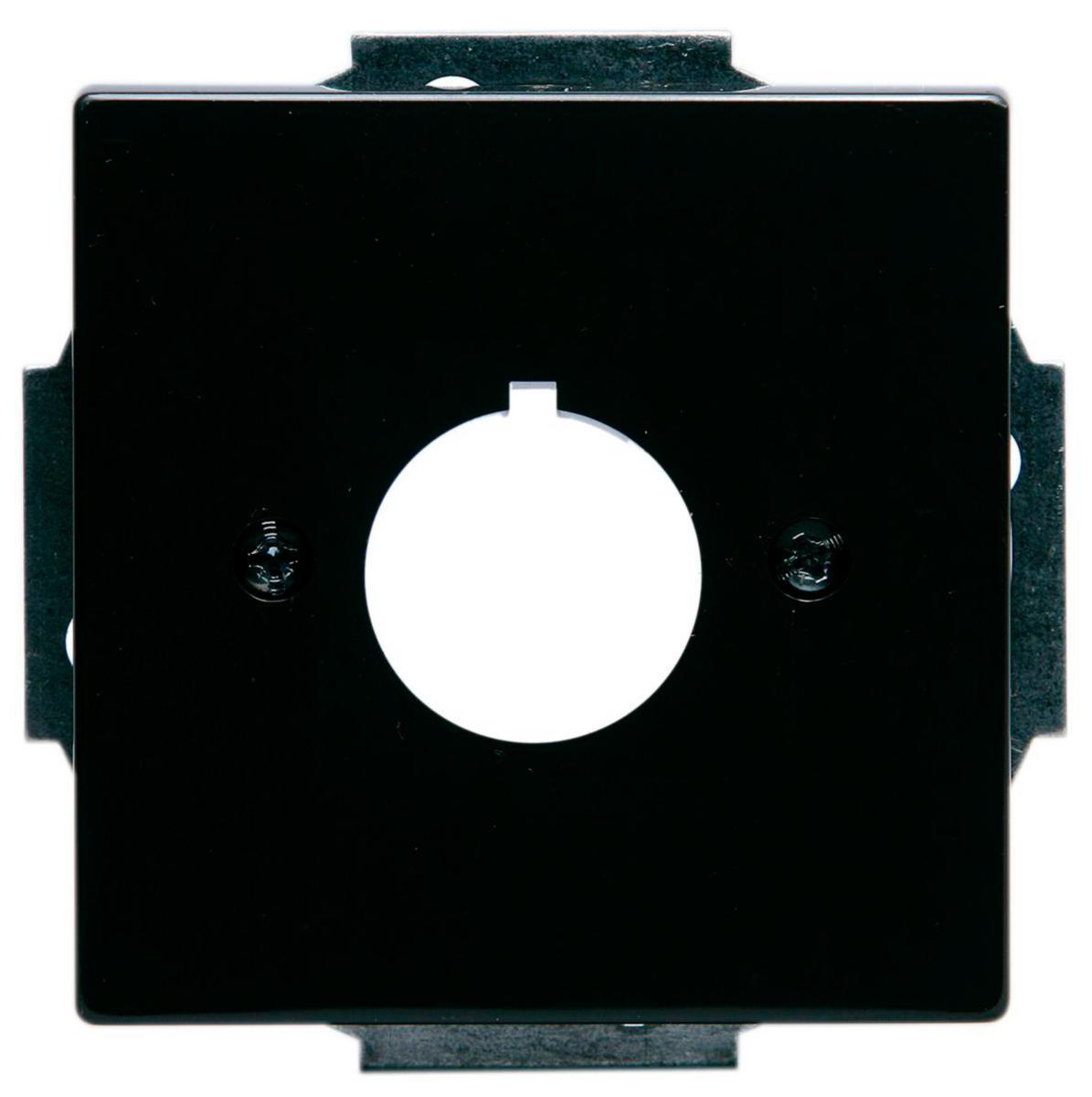 Centrumdelar Impressivo för 22,5 mm apparat, ABB - C-PLATTA 22.5MM HÅL ANTR IMPR 2533-81