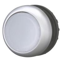 Lit push button with flat button and impulse function IP66